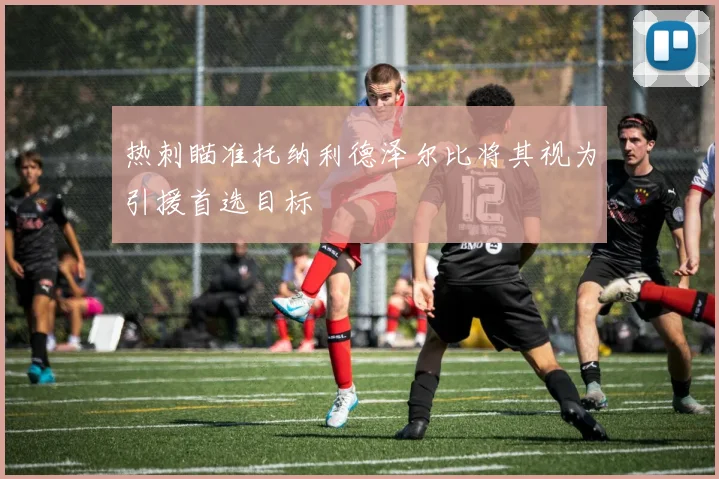 热刺瞄准托纳利德泽尔比将其视为引援首选目标