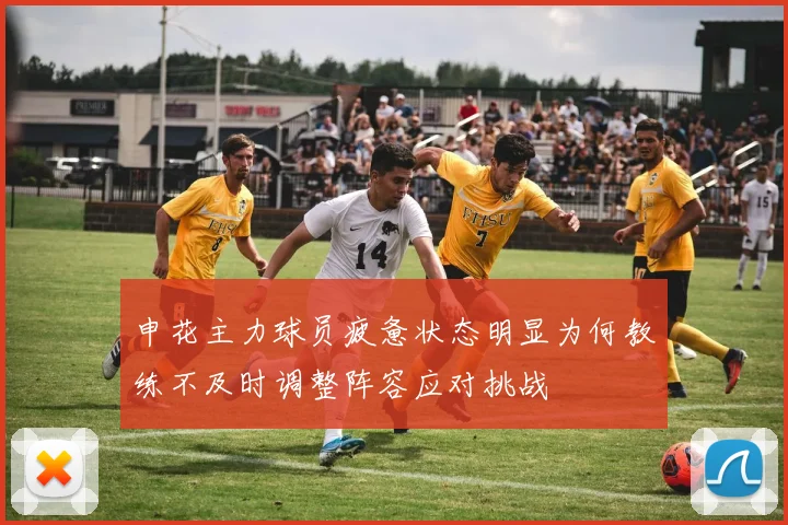 申花主力球员疲惫状态明显为何教练不及时调整阵容应对挑战